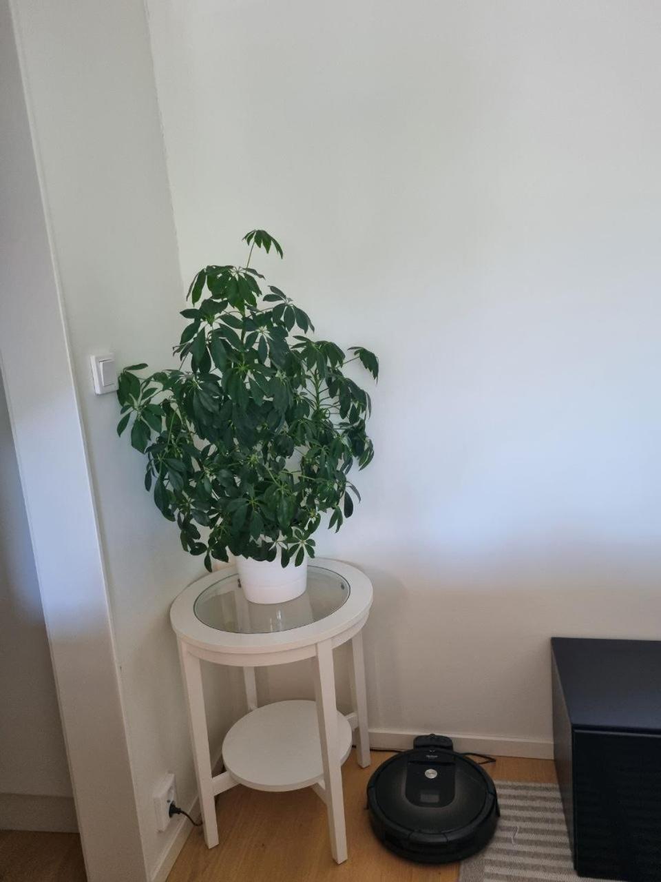 Séjour chez l'habitant The Beige
